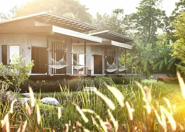 White Knot Khao Yai